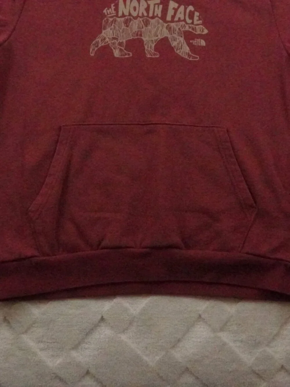 The North Face Hoodie Mens Large Evolution Bear Graphic Print Pull Over Red